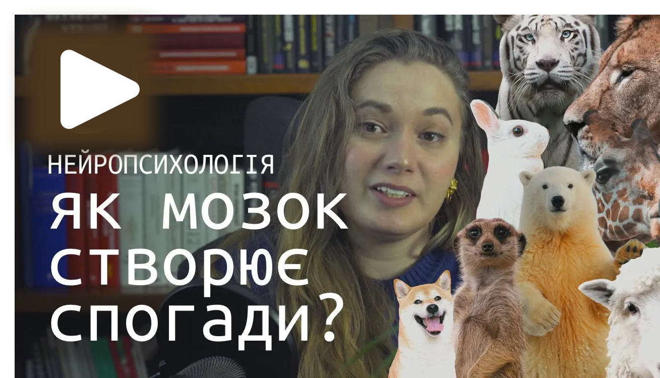 ПАМ’ЯТАТИ ВСЕ [Ч3]. Як мозок створює та зберігає спогади?